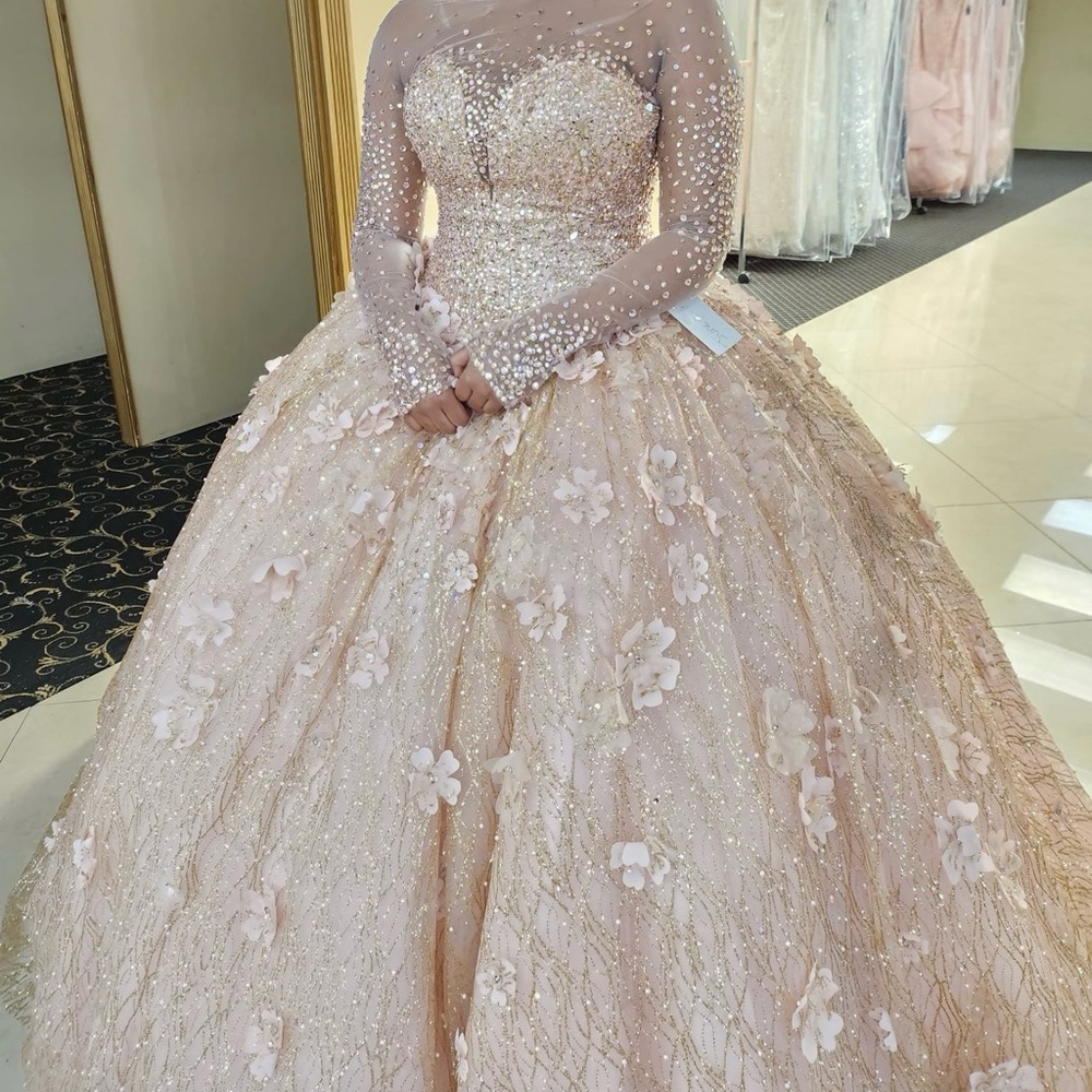 Elegant Beaded Ball Gown / Quinceanera Dress